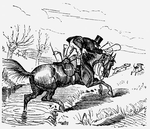 A man riding a
horse.