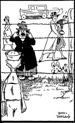 "Mother kept screaming through the wire about my
underwear"