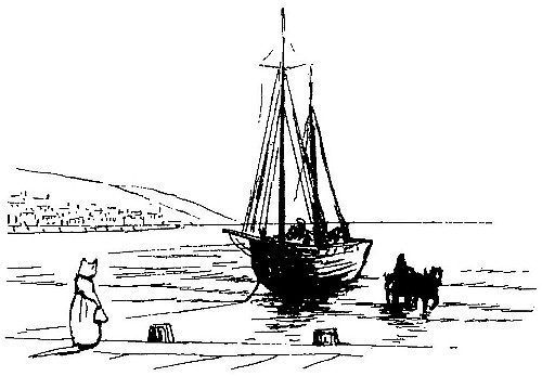 Susan the white cat
meeting the ships as they come in