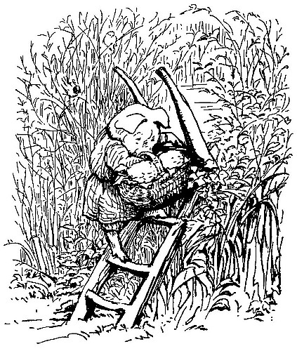 Pig Robinson carrying his
basket down a ladder