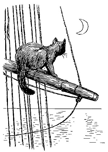 Instead
of blacking boots and valeting the Captain, it spent days and nights in
the rigging, serenading the moon