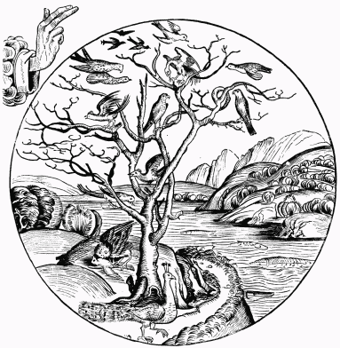 FIG. 10.&mdash;The Fifth Day of Creation. From Schedel's
