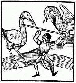 FIG. 21.&mdash;Pygmy and Cranes. From the 