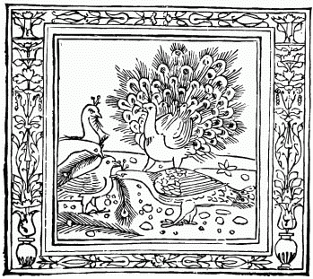 FIG. 23.&mdash;The Crow and the Peacock. From 