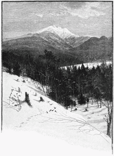 FIG. 79.&mdash;Mount Lafayette (White Mountains). By J.
Tinkey.