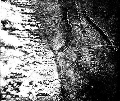 &copy; International Film Service