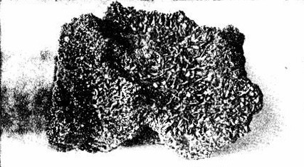 Courtesy of the Carborundum Co., Niagara Falls

A BLOCK OF CARBORUNDUM CRYSTALS