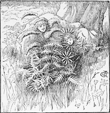 Golden-rod heard the soft sigh, and whispered, "What
troubles you, sweet neighbor?"&mdash;Page 133.