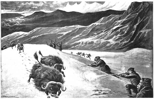 A SEMICIRCLE OF RIFLES WAS DISCHARGED AT THE UNHAPPY
BRUTES, AND TWO FELL DEAD IN THEIR TRACKS.