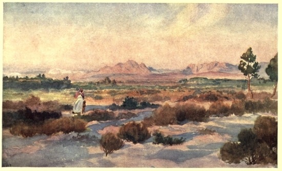 THE CAPE �FLATS�