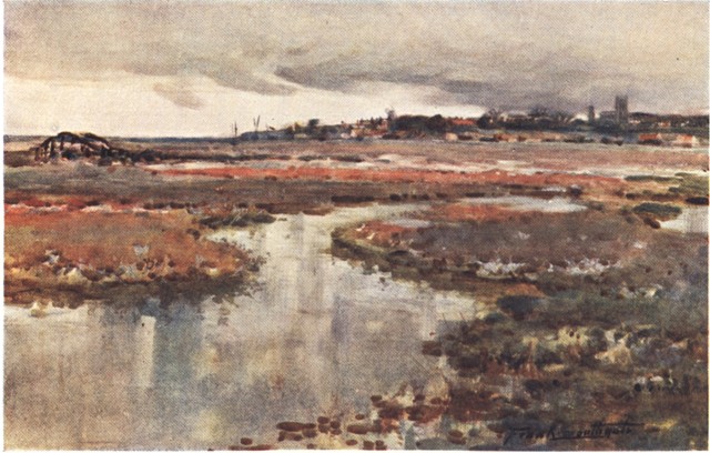 BLAKENEY&mdash;A CHARACTERISTIC LANDSCAPE