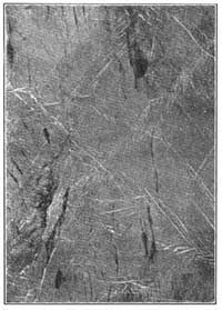 FIG. 33.—Mineral matter precipitated from solution is
deposited in crevices and forms veins.