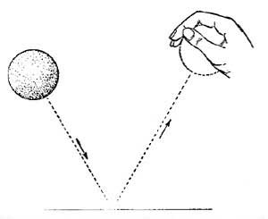 FIG. 61.—A bouncing ball illustrates the law of
reflection.
 