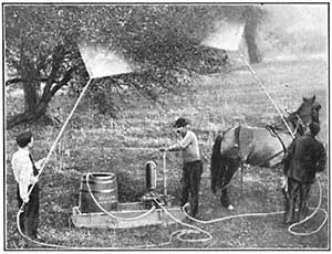 FIG. 143.—Spraying trees by means of a compression
pump.