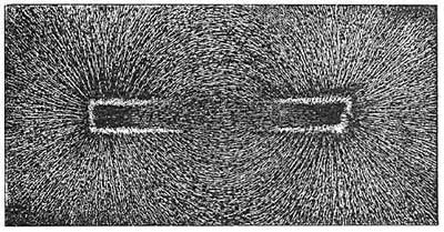 FIG. 224.—Iron filings scattered over a magnet arrange
themselves in definite lines.