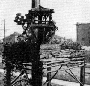 FIG. 56. BIRDS SHOULD FIND THESE FOOD SHELTERS BEFORE
BAD WEATHER COMES.