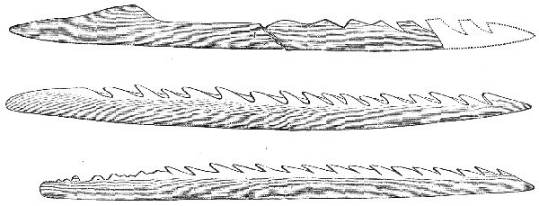 Fig. 9.