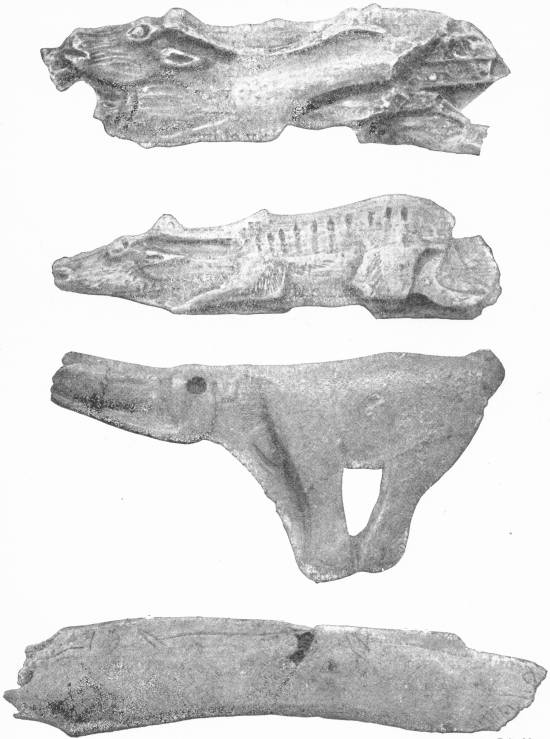 BONE CARVINGS OF THE PAL�OLITHIC PERIOD