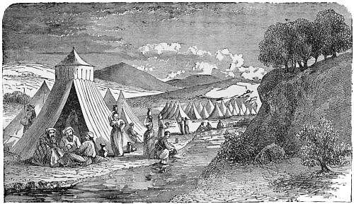 ENCAMPMENT OF A PATRIARCH.