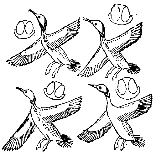 Fig 23.--Ceiling pattern from tomb of Aimad�a, Twentieth Dynasty.