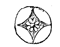 Fig 238.--Tile inlay, Tell el Yah�deh. 