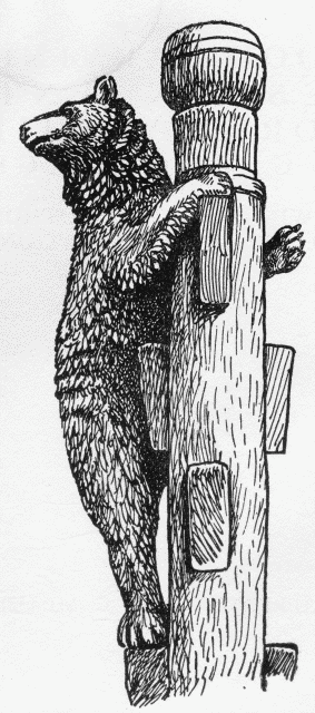 A Suggestion from Nature and Photography.
See page 197.