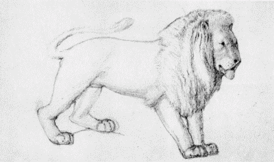 VII.—Preliminary
Drawing of a Lion for Carving. By Phillip Webb.