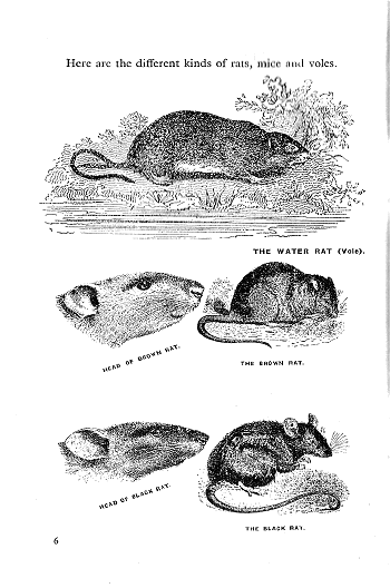 Click to turn to previous Page