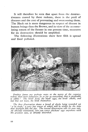 Click to turn to previous Page