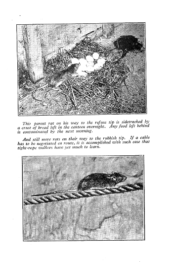 Click to turn to next Page