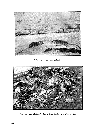 Click to turn to previous Page