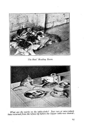 Click to turn to next Page