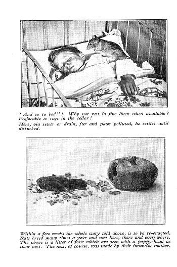 Click to turn to previous Page