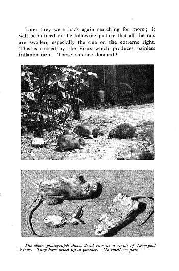 Click to turn to next Page